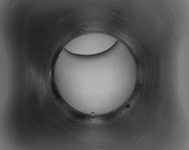 X0000099580310200805160751