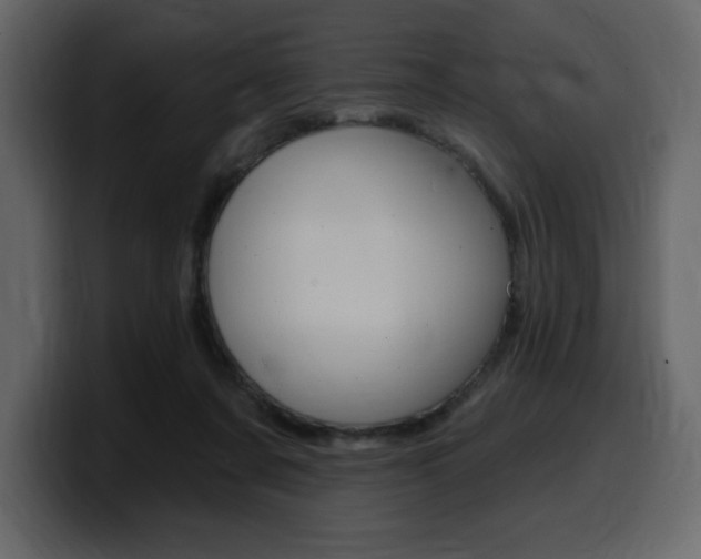 X0000099580311200805160751