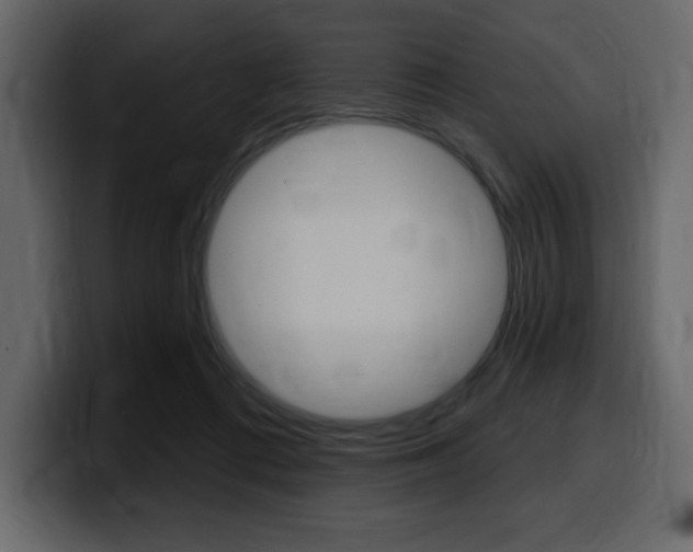 X0000099580312200805160751