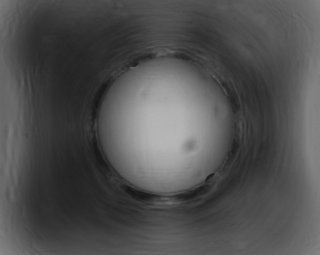 X0000099580316200805160751