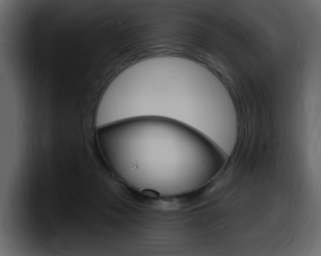 X0000099580317200805160751