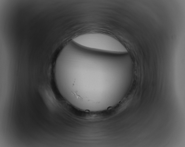 X0000099580319200805160751