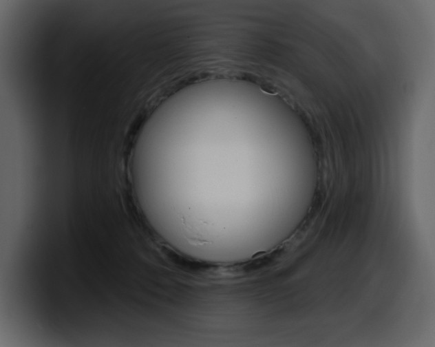 X0000099580320200805160751