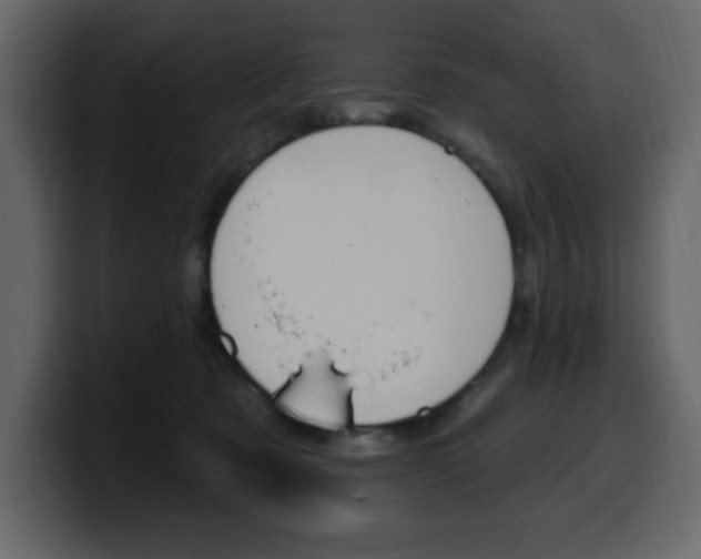 X0000099580321200805160751