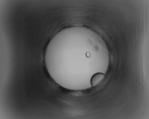 X0000099580322200805160751