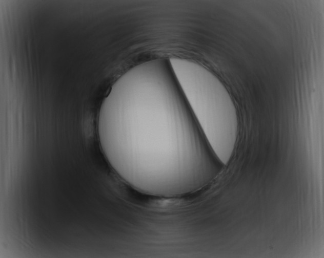 X0000099580323200805160751