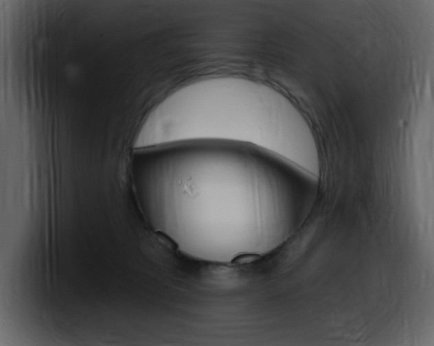 X0000099580325200805160751