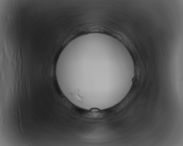 X0000099580326200805160751