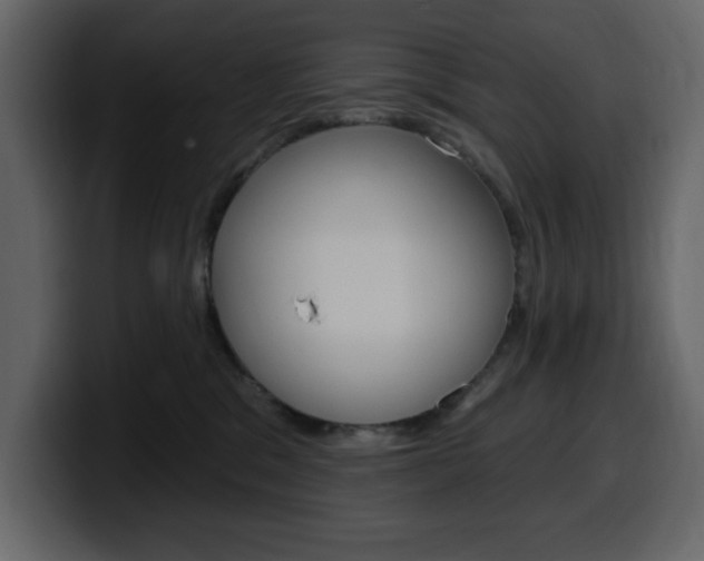 X0000099580329200805160751