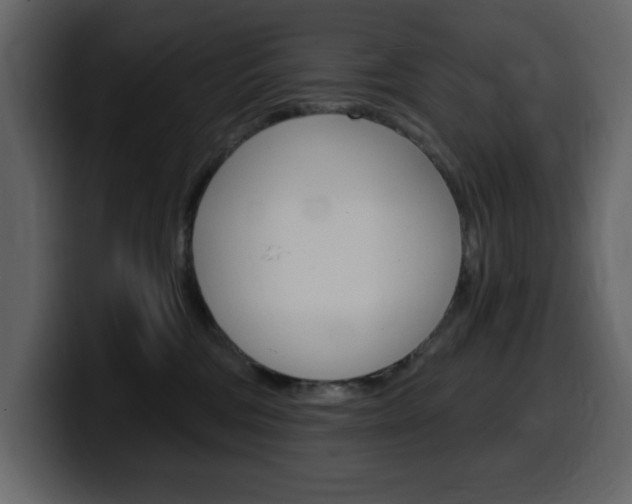 X0000099580330200805160751