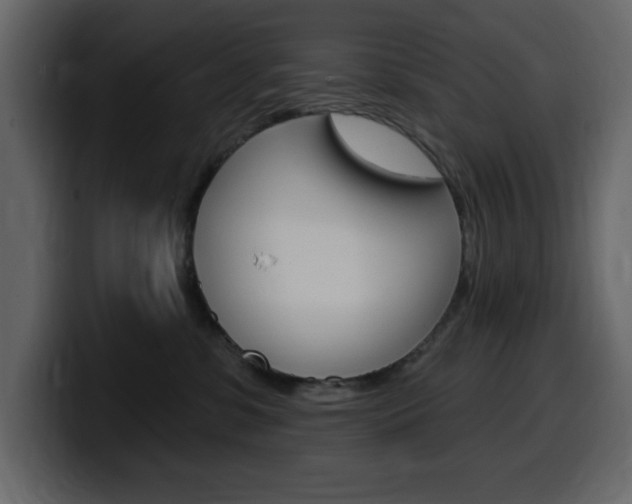 X0000099580331200805160751