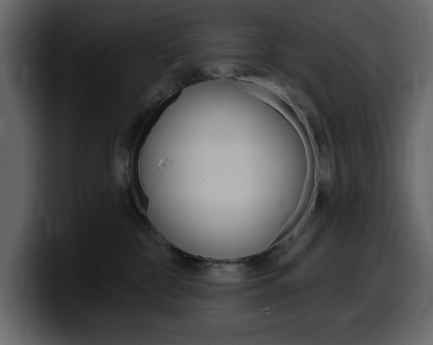X0000099580332200805160751