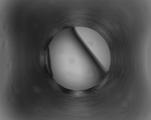 X0000099580333200805160751