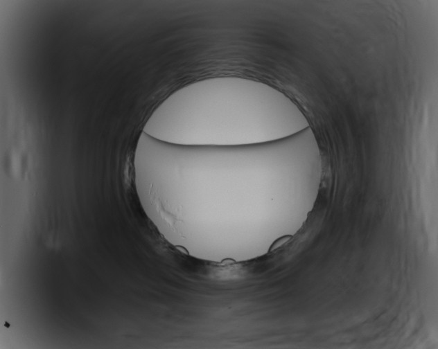 X0000099580334200805160751