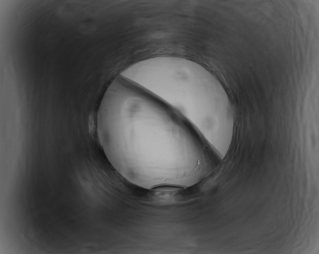 X0000099580335200805160751