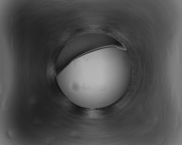 X0000099580336200805160751