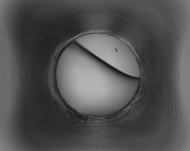 X0000099580337200805160750