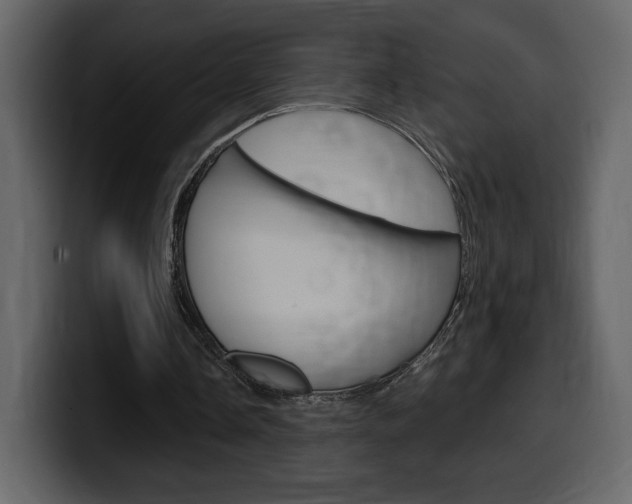 X0000099580338200805160750