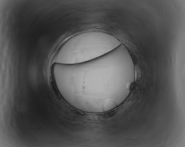 X0000099580339200805160750
