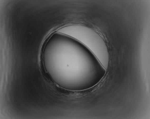 X0000099580340200805160750