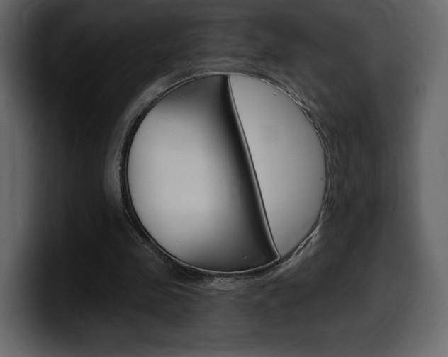 X0000099580341200805160750