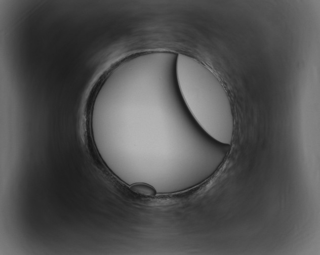X0000099580342200805160750