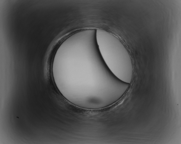 X0000099580343200805160750