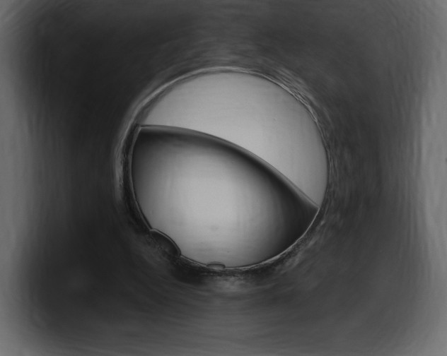 X0000099580344200805160750