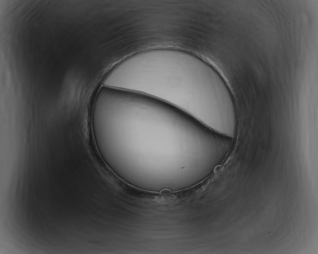 X0000099580345200805160750