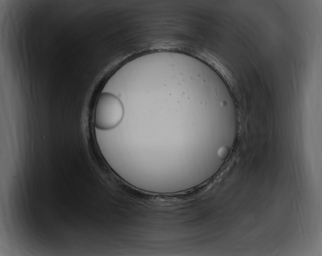 X0000099580346200805160750