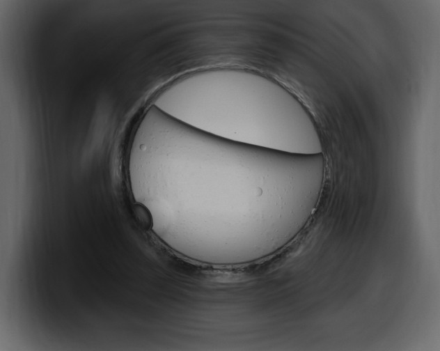 X0000099580347200805160750