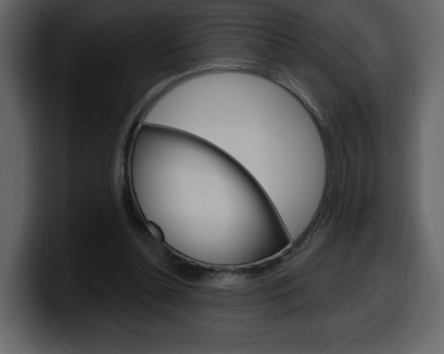 X0000099580348200805160750