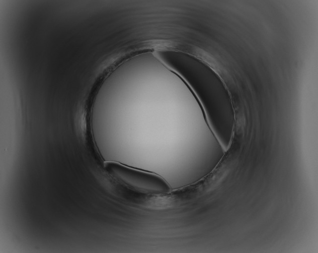 X0000099580350200805160750