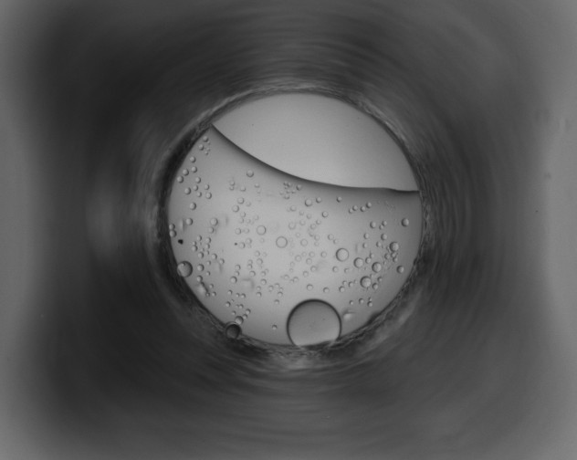 X0000099580351200805160750