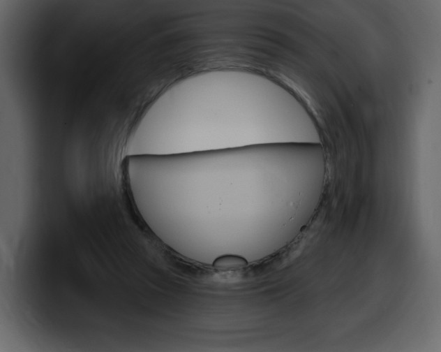 X0000099580353200805160750