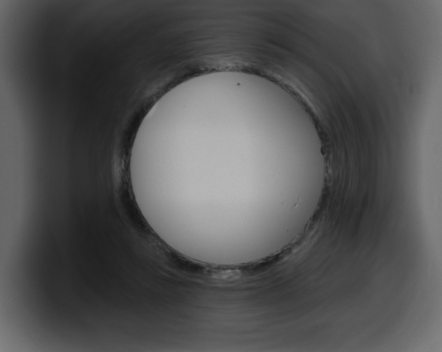 X0000099580355200805160750
