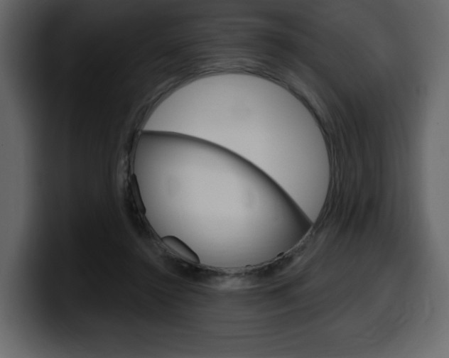 X0000099580356200805160750
