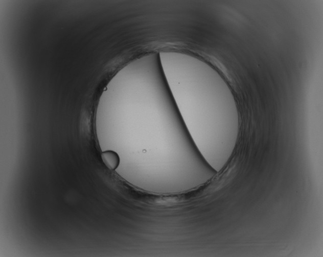 X0000099580357200805160750