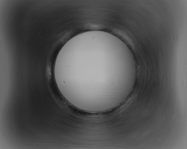 X0000099580358200805160750