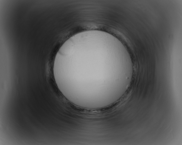 X0000099580359200805160750