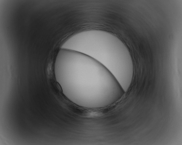 X0000099580360200805160750