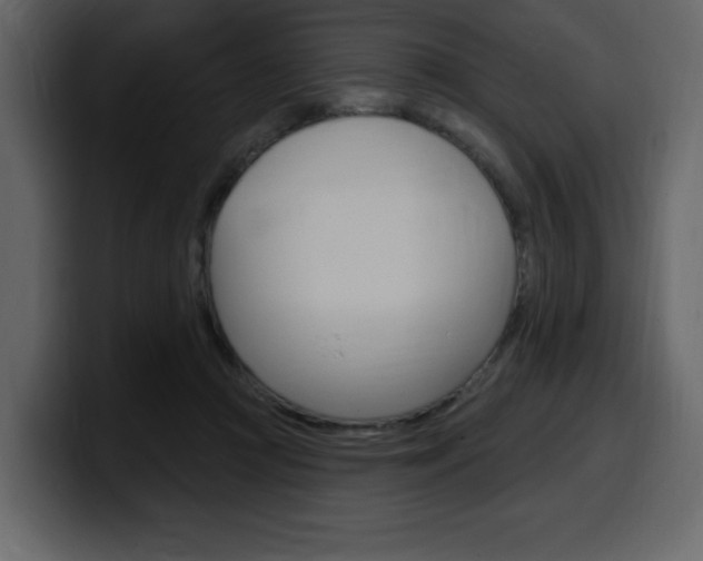 X0000099580361200805160750