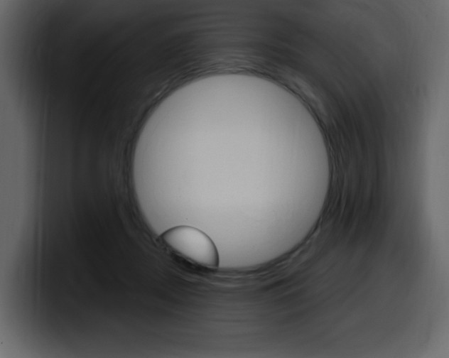 X0000099580362200805160750