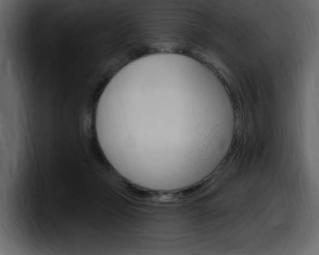 X0000099580365200805160751