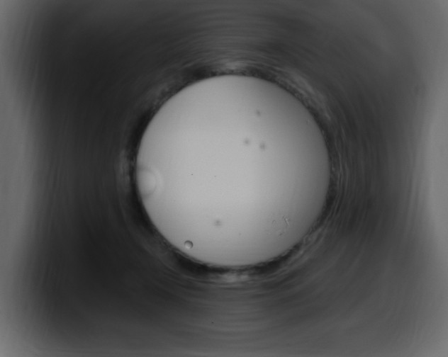 X0000099580366200805160751
