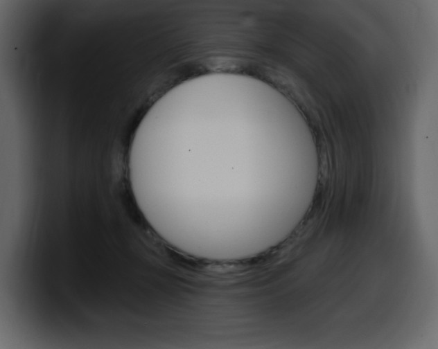 X0000099580367200805160751