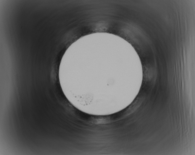 X0000099580370200805160751