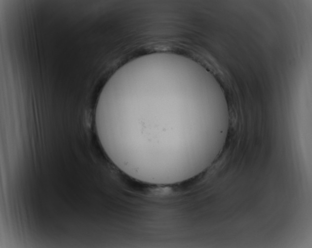 X0000099580374200805160751