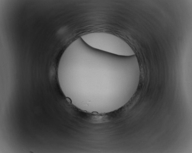 X0000099580375200805160751