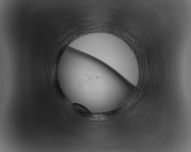 X0000099580376200805160751